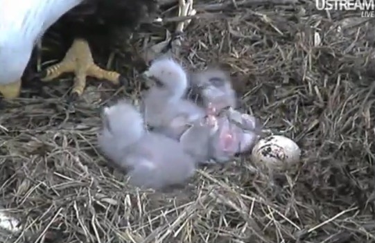 ScreenHunter_18 Mar. 31 11.27.jpg